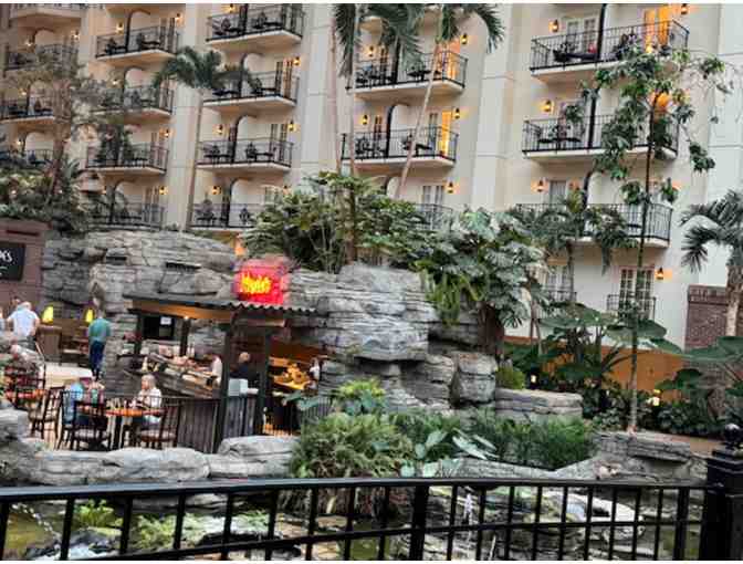 Be Amazed at the Gaylord Opryland Resort & Convention Center! - Photo 4