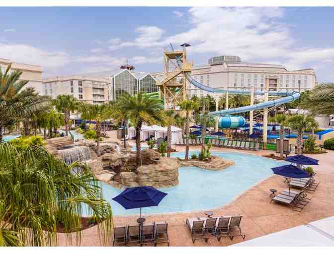 Experience Florida Fun!