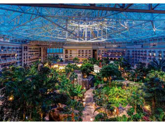 Experience Florida Fun!