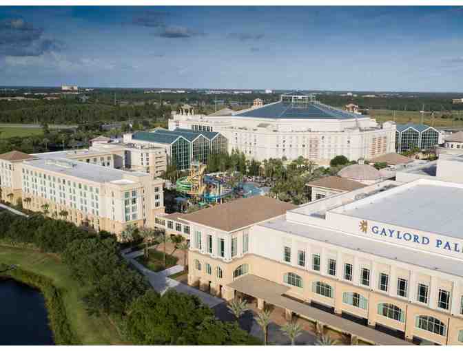 Experience Florida Fun!