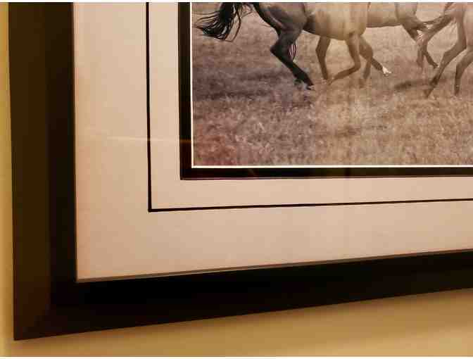 Galloping Horses: Original Photography by Merle Wasson