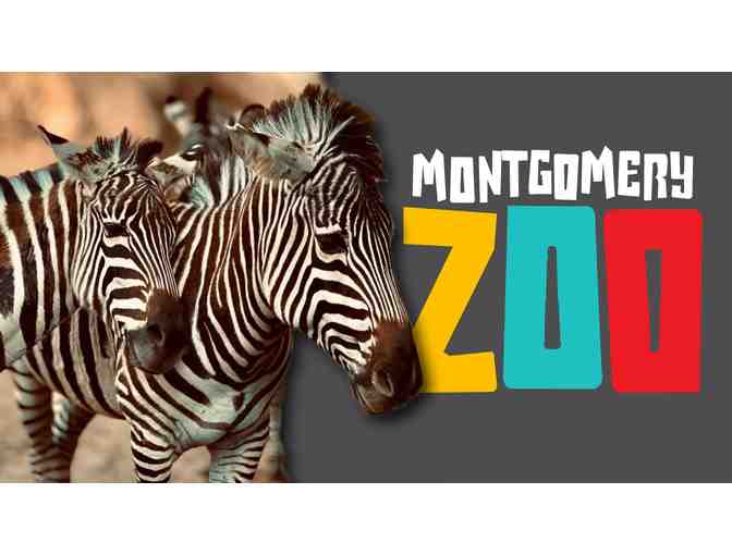 Montgomery Zoo Zoofari Summer Camp: 2025 (1 child / 1 week) [1 of 2]