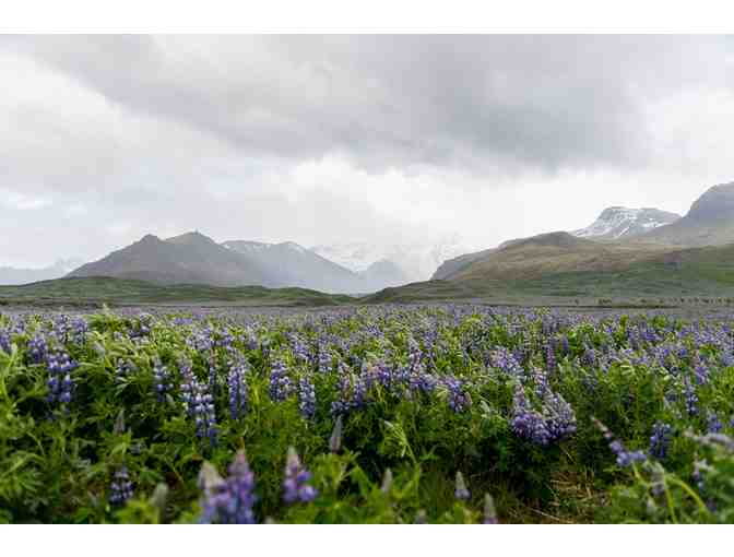 Iceland: Land of Fire and Ice