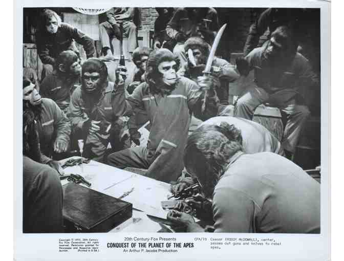 CONQUEST OF THE PLANET OF THE APES, 1972, movie stills, Roddy McDowall