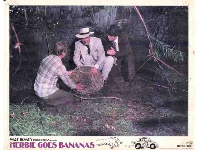 HERBIE GOES BANANAS, 1980, lobby cards, Cloris Leachman - Photo 3