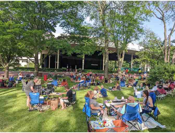 Ravinia Night for 6: The Ultimate Picnic Experience!