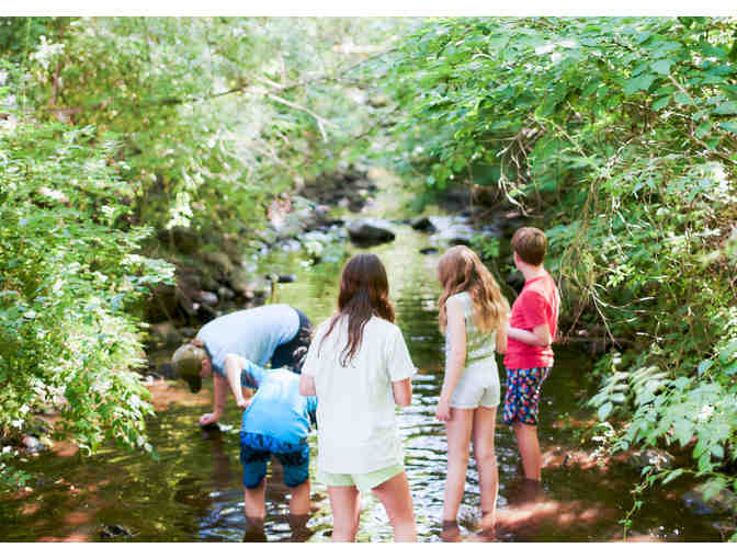 The Nature Place Day Camp - One Week of Camp
