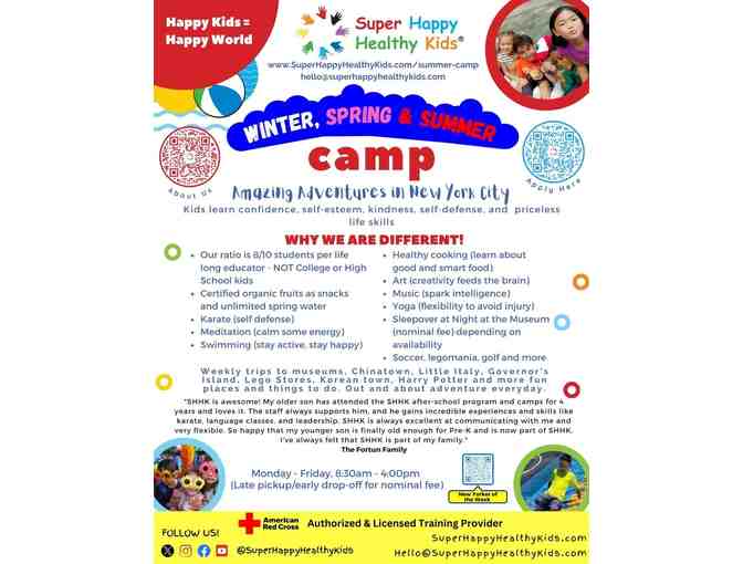 Super Happy Healthy Kids - 1 Week of July Summer Camp #1