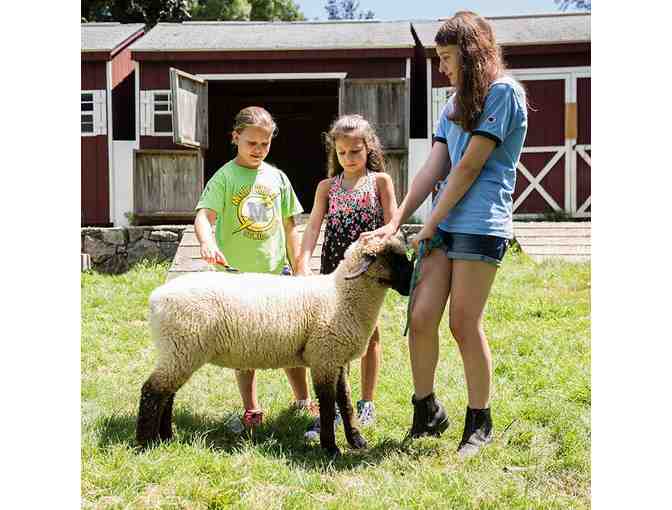 Mohawk Day Camp - $1000 Gift Card Towards 2025 Summer Camp