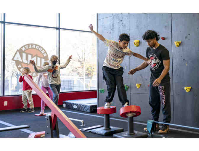 New York Ninja Academy - One (1) Drop In Class