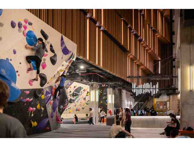 VITAL Lower East Side - 2 Guest Passes