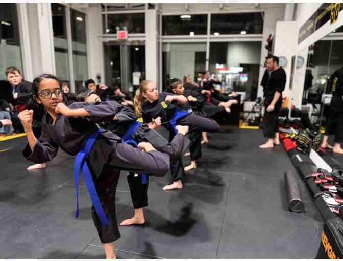 El Dojo NYC - One(1) Month of Classes