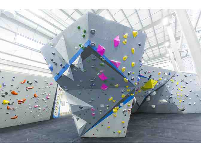 Central Rock Gym - 4 Day Passes