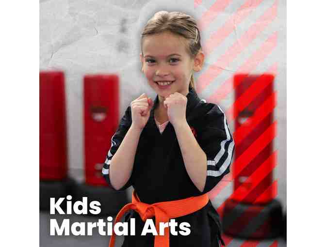 Modern Martial Arts - One(1) Month of Kids Martial Arts