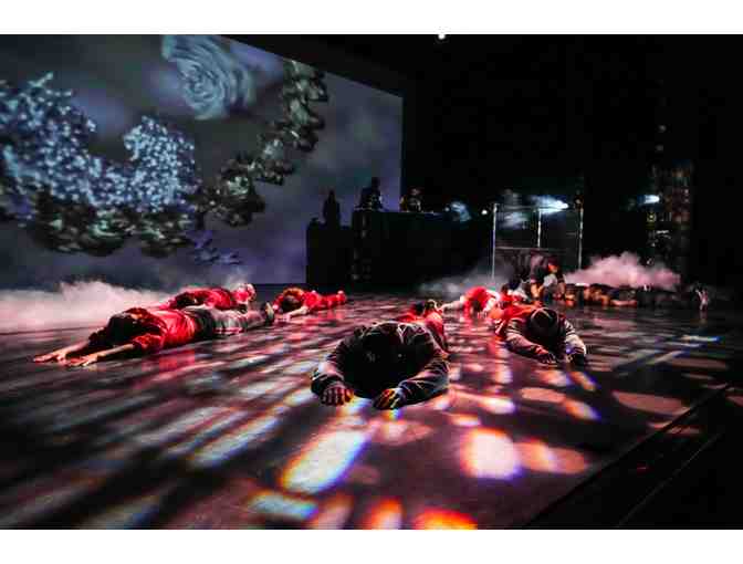 Joyce Theater - Two (2) Performance Tickets