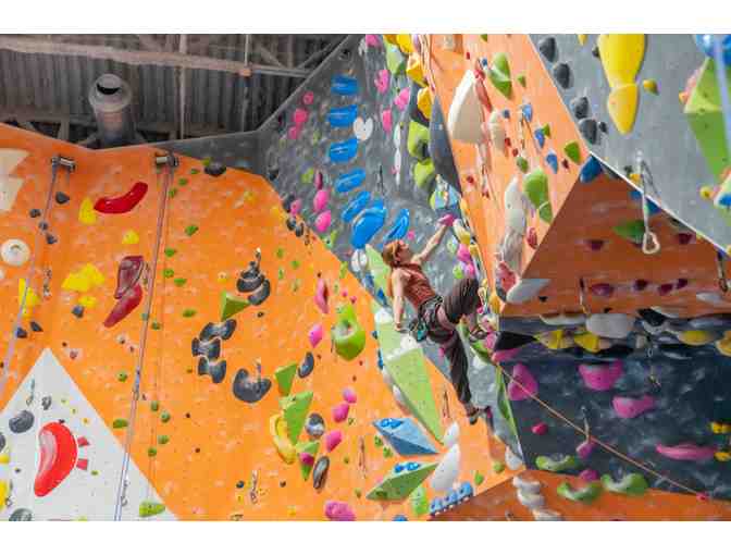 Movement LIC - 4 Day Passes