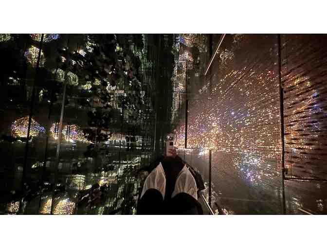 Mercer Labs - 4 tickets