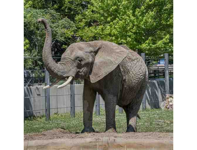 Visit The Milwaukee County Zoo II