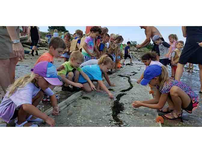 Cape May Harbor Safari Experience