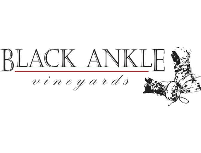 Black Ankle Vineyards Tour and Wine Tasting for 4
