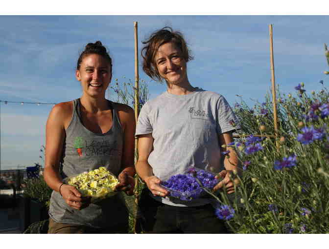 Love and Carrots Consultation - Home Organic Garden Consultation