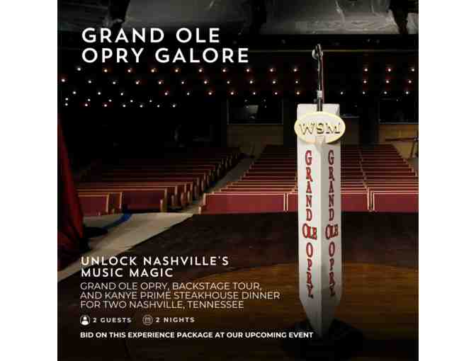 Grand Ole Opry Galore - Photo 1