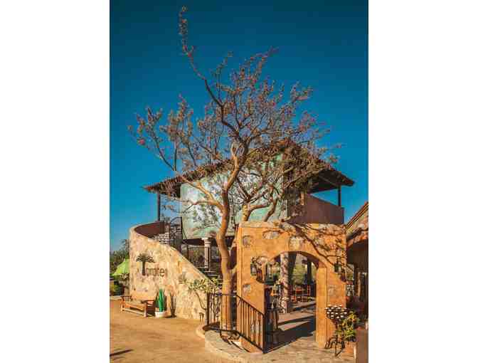 Brunch for two at Torote Restaurant, Cabo San Lucas (cert.1)