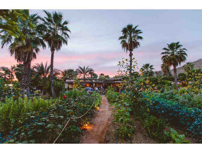 Brunch for 6 at Flora Farms