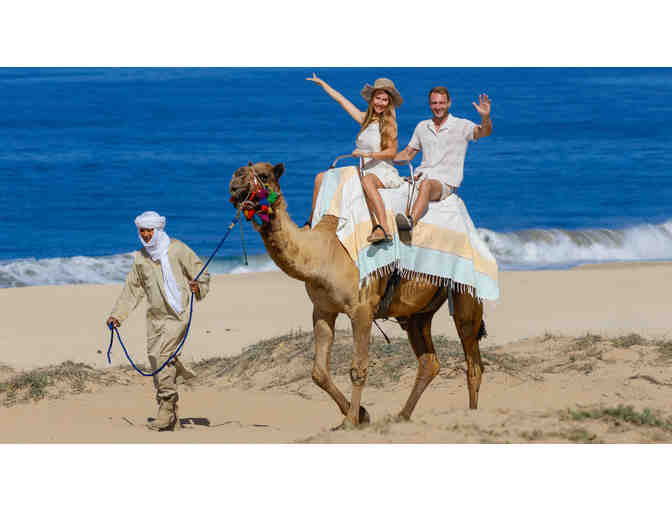 Cactus Tours Camel + Sky Bike combo for two (cert.4)