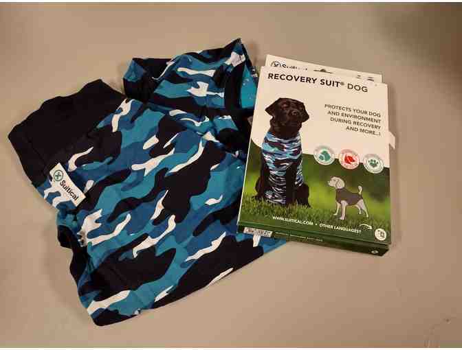 Recovery Suit for Dog Size M