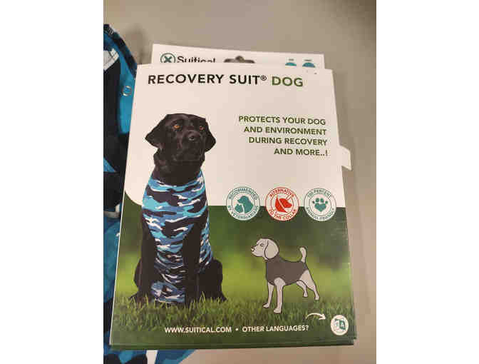 Recovery Suit for Dog Size M