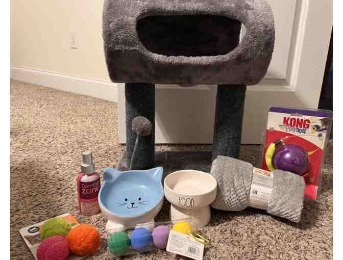 The Purr-Fect Gift - Photo 1