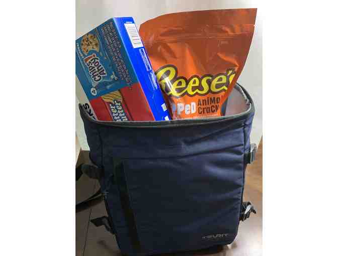 a Cooler Backpack filled with Goodies - Photo 1