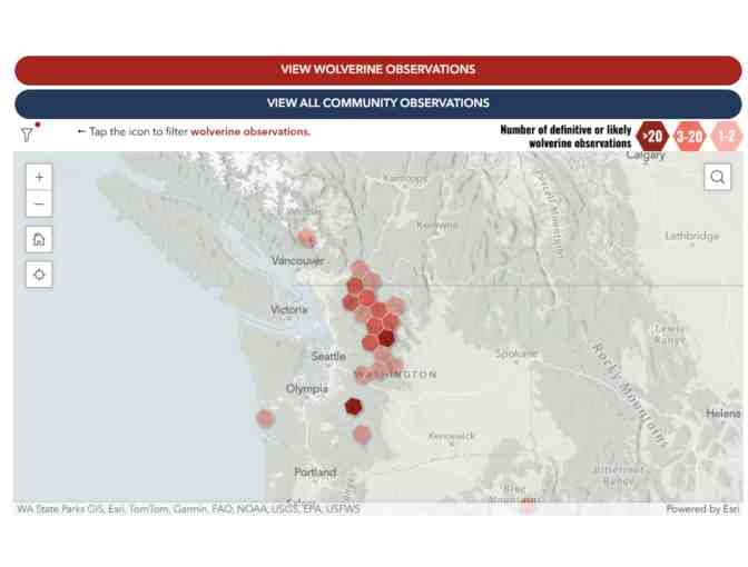 Consulting: Community Engagement/Mapping/Planning with Rivershed SPC (RMS member!)