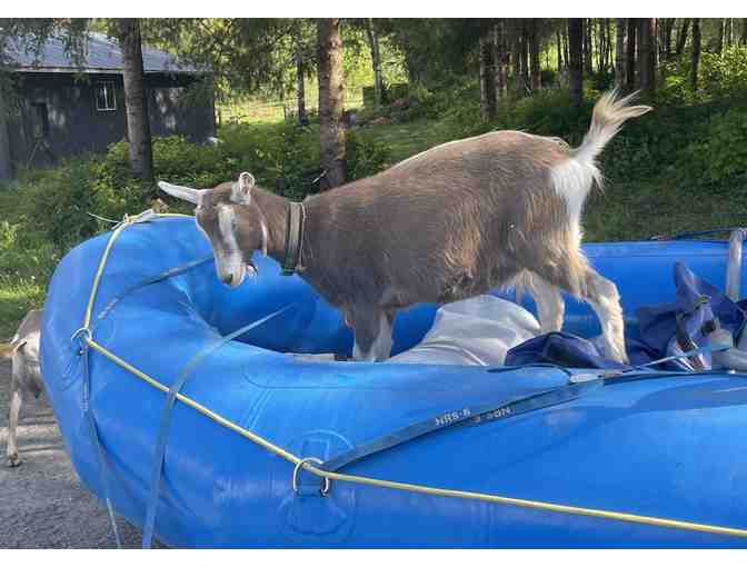 Consulting: Community Engagement/Mapping/Planning with Rivershed SPC (RMS member!)