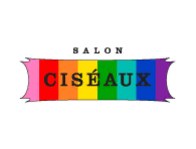 Gift Certificate at Salon Ciseaux for Single Color Haircut and Blow Dry - Photo 1