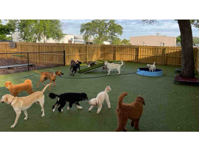 2 Days/2 Nights Board for your Dog