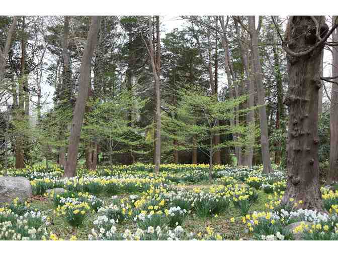 Tea for Four at Blithewold Mansion, Gardens and Arboretum