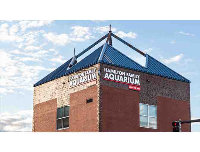 Save The Bay's Hamilton Family Aquarium Gift Package