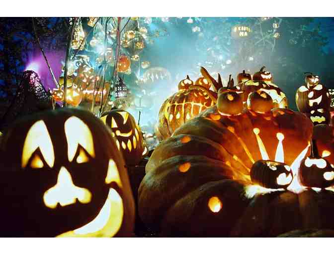 Jack-O-Lantern Spectacular Admission for 8 with Premier Parking (II)