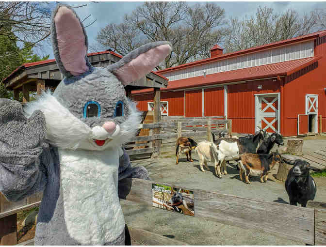 Visit with the Easter Bunny at Roger Williams Park Zoo