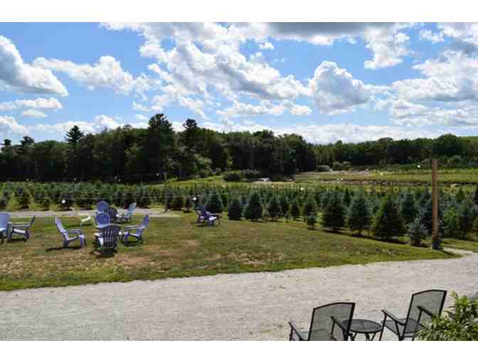 Wine Tasting and Souvenir Glasses for 4 at Leyden Vineyard and Winery