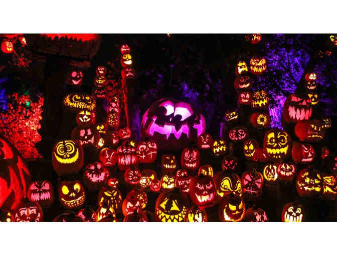 A Behind the Scenes Private Tour of the 2025 Jack-O-Lantern Spectacular for Ten