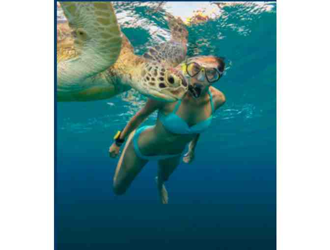 7-10 Night Stay in Barbados at The Club Barbados