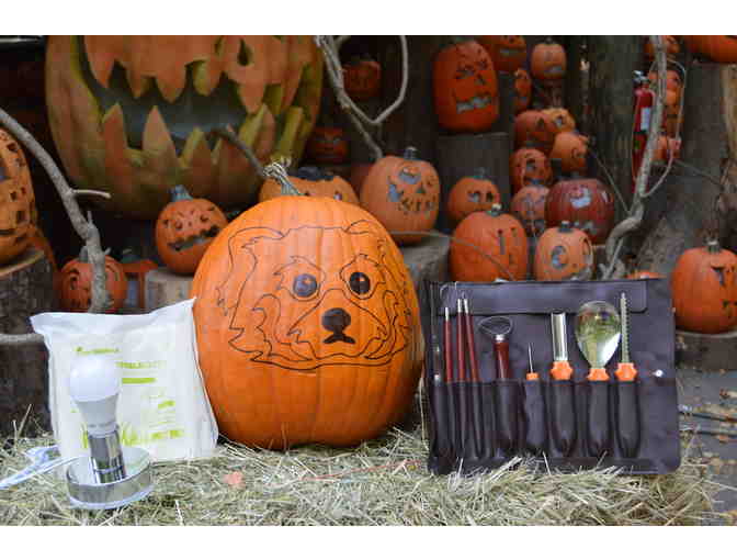 Carving with the Masters: Jack-O-Lantern Spectacular Experience for Two