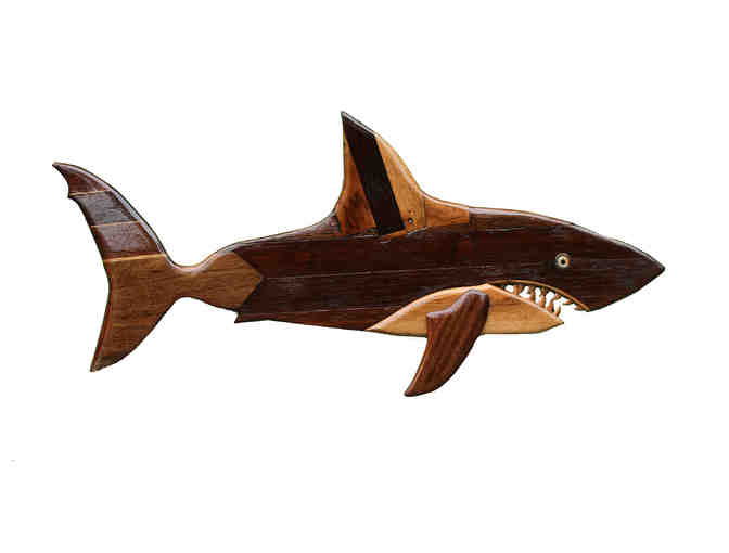 Atlantic White Shark Conservancy - Photo 1