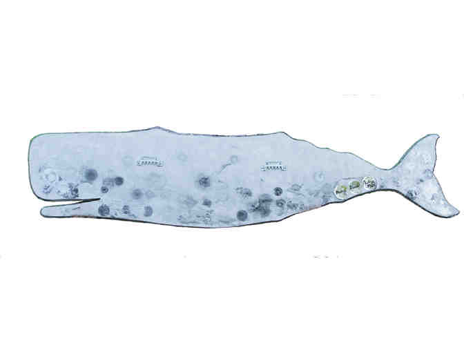 Cape Abilities - Photo 2