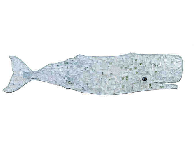 Cape Abilities - Photo 1