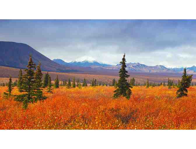 Amazing Alaska: Ride the Alaska Railroad Denali or Aurora Borealis 5 Night Adventure for 2