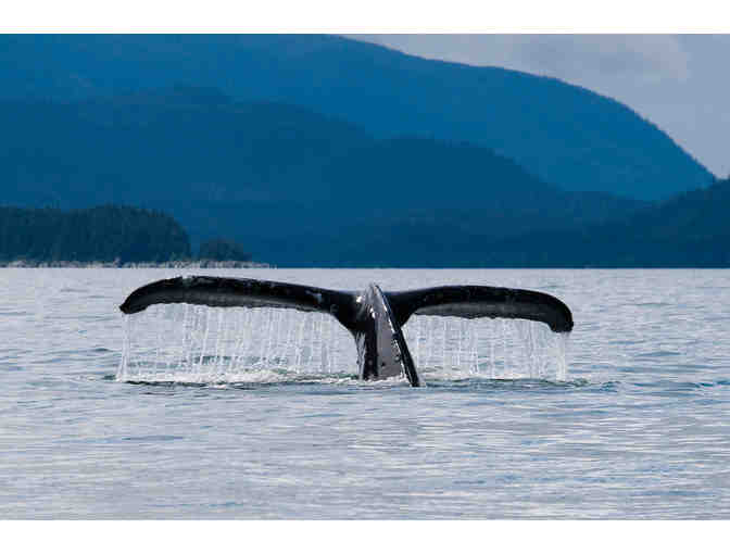 Alaska's Majestic Frontier, Alaska>Cruise for two for seven nights Veranda Stateroom+tax+t - Photo 9